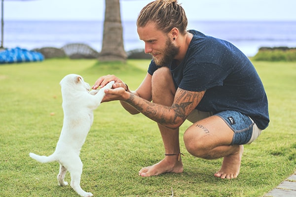 Zanzibar Animal Welfare